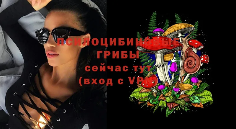 Галлюциногенные грибы Cubensis  Духовщина 